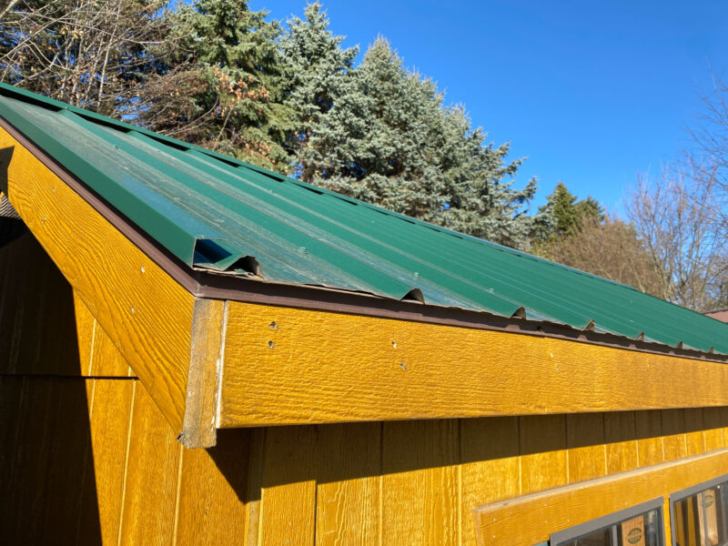 cabin shed metal roof