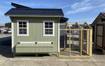 How Often To Clean A Chicken Coop