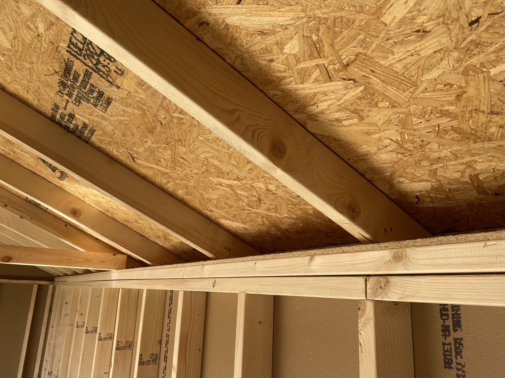 12x20 Modern Shed | Double Door Shed | Shed With Windows