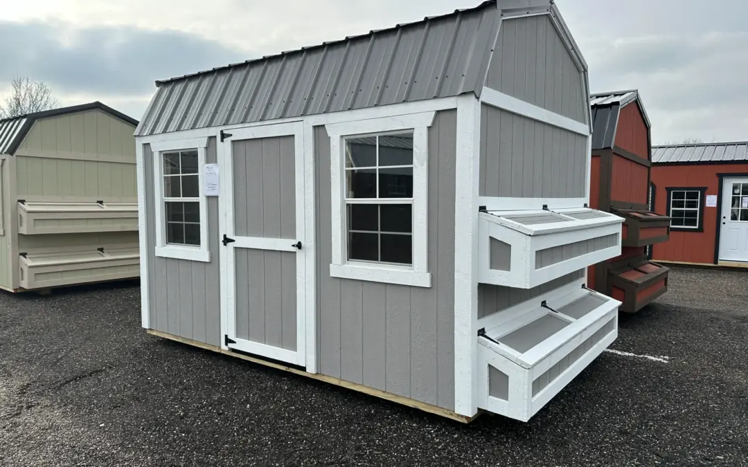 How Often Clean Chicken Coop