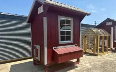 How To Disinfect Chicken Coop